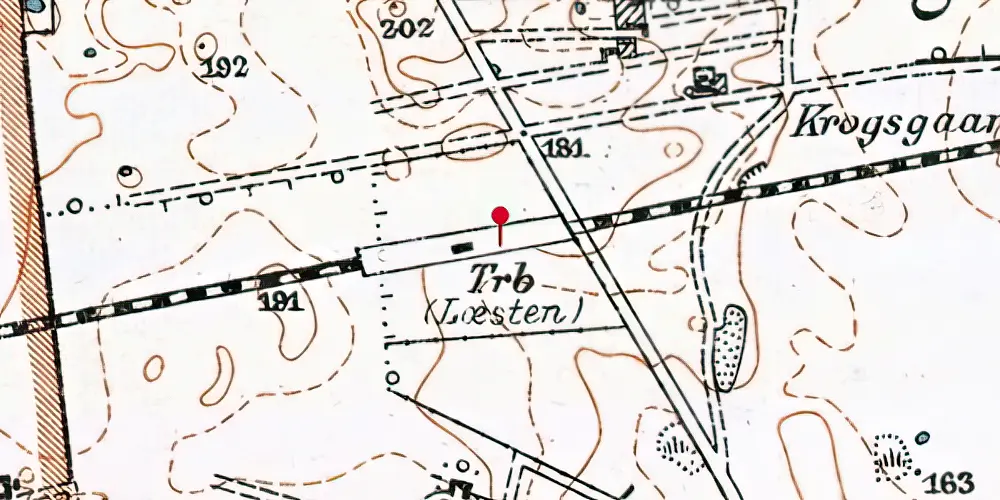 Historisk kort over Læsten Trinbræt med Sidespor