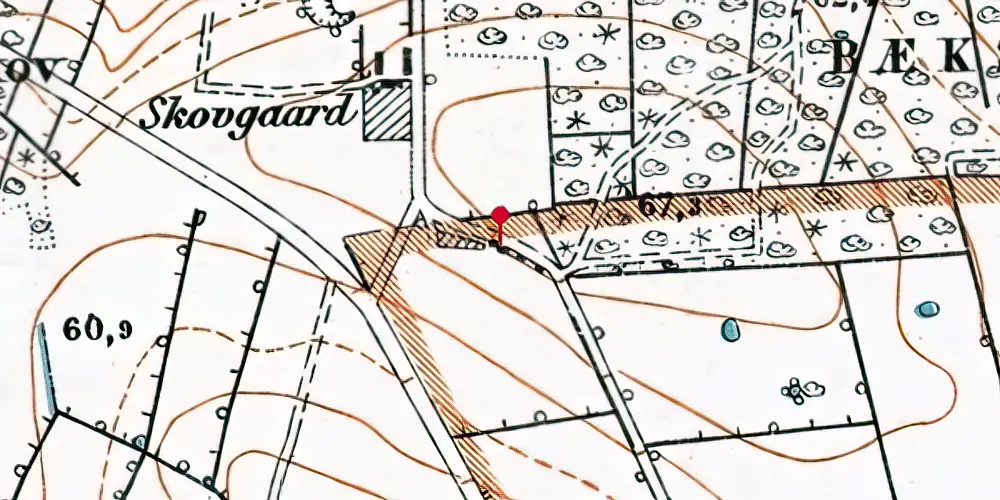 Historisk kort over Bæk Skov Station