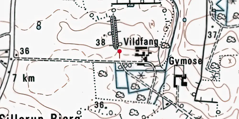 Historisk kort over Vildfang Trinbræt med Sidespor