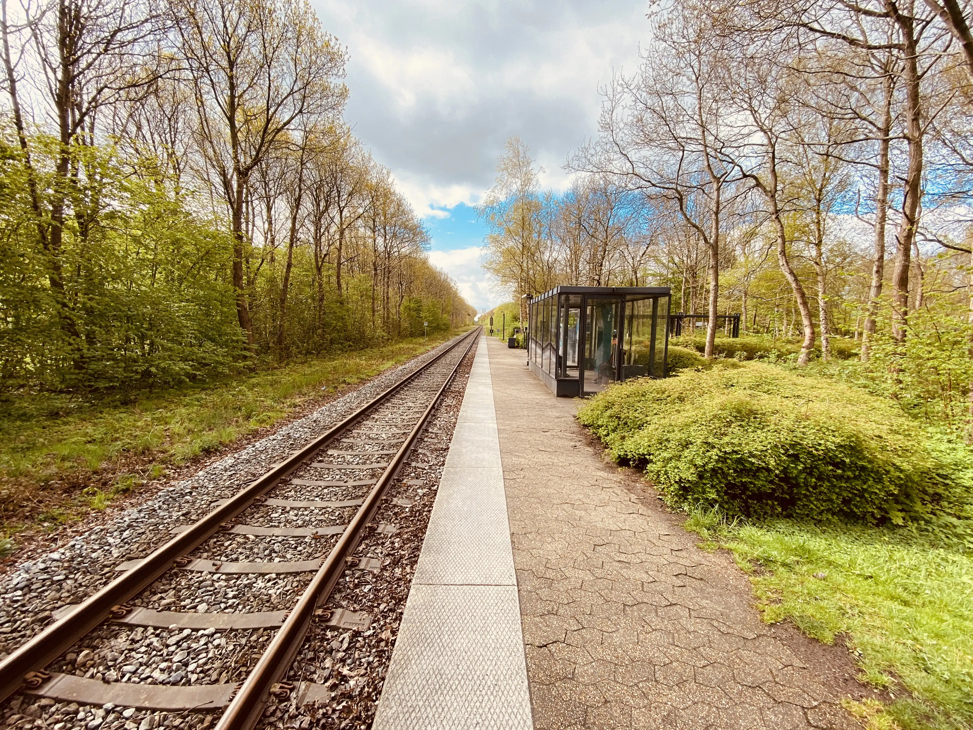 Billede af Hviding Trinbræt. Billede af Hviding Trinbræt.