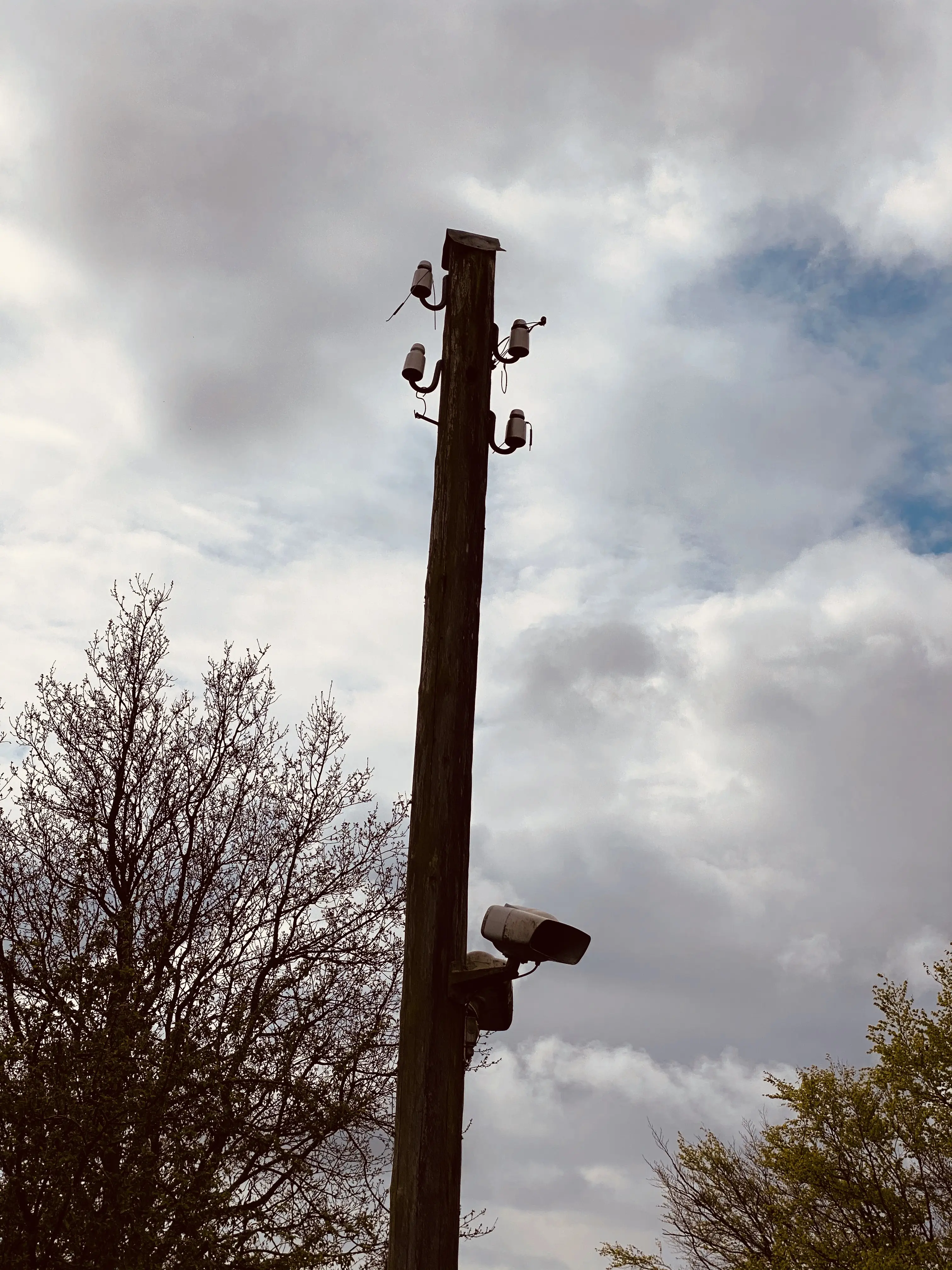 Billede af den eneste rest fra Rejsby Station, som er en enkelt telefonpæl fra strækningstelefonen. Billede af den eneste rest fra Rejsby Station, som er en enkelt telefonpæl fra strækningstelefonen.