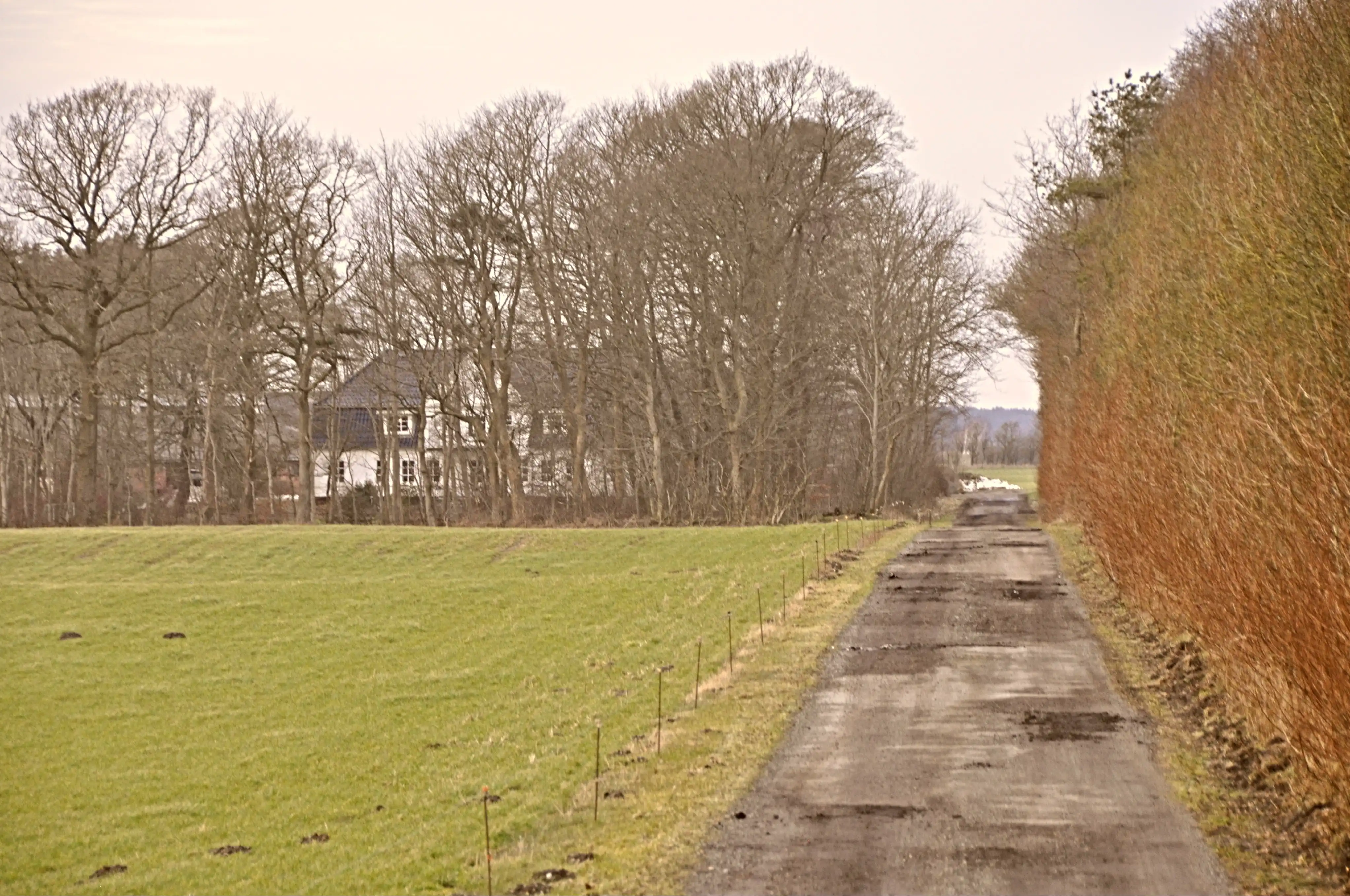 Billede af Blankenhof Holdeplads med sidespor - Holdepladsen er nedrevet, men Blankenhof Holdeplads med sidespor har ligget her til højre for gården. Billede af Blankenhof Holdeplads med sidespor - Holdepladsen er nedrevet, men Blankenhof Holdeplads med sidespor har ligget her til højre for gården.