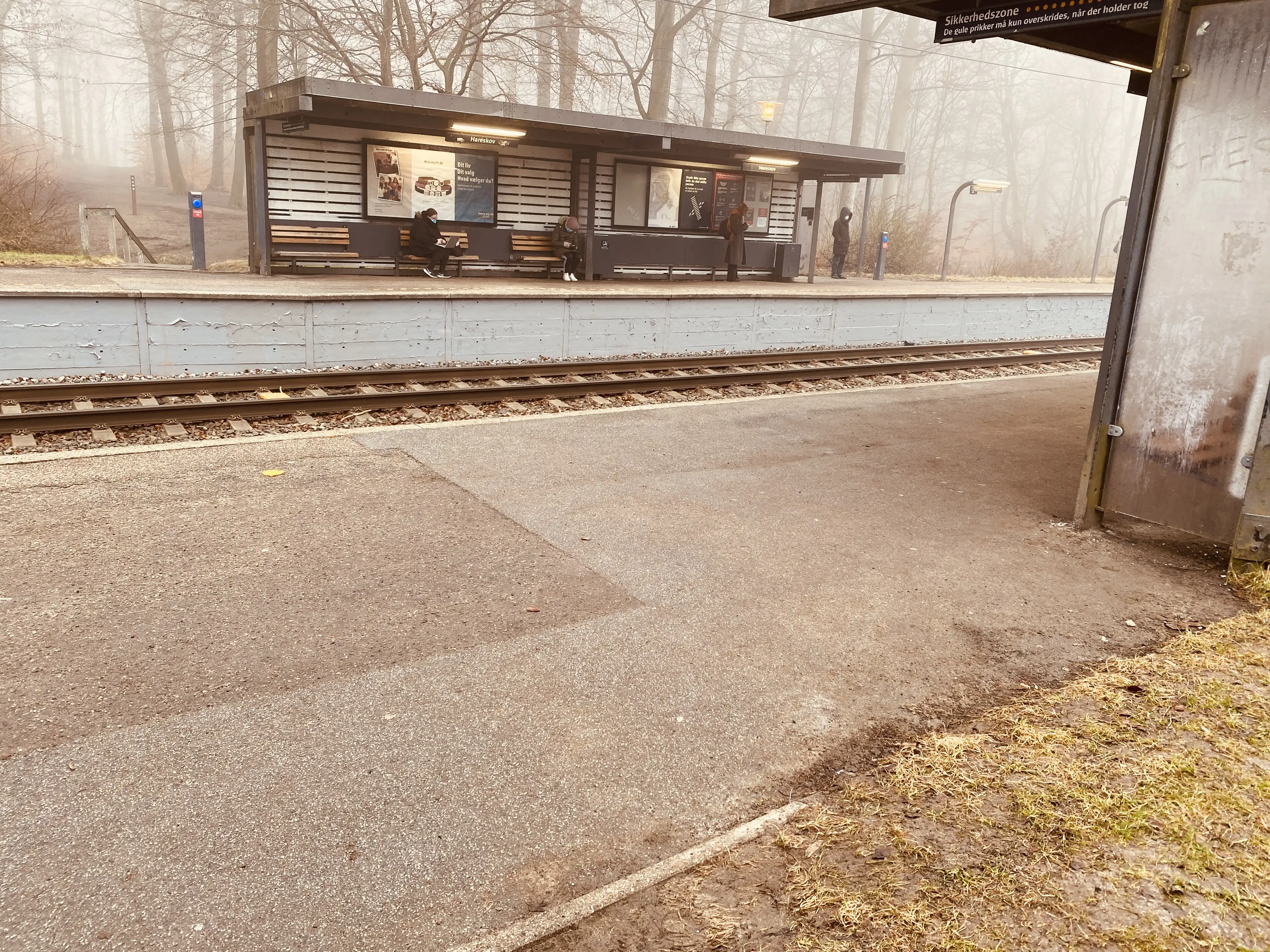 Billede af Hareskov S-togstrinbræt. Billede af Hareskov S-togstrinbræt.