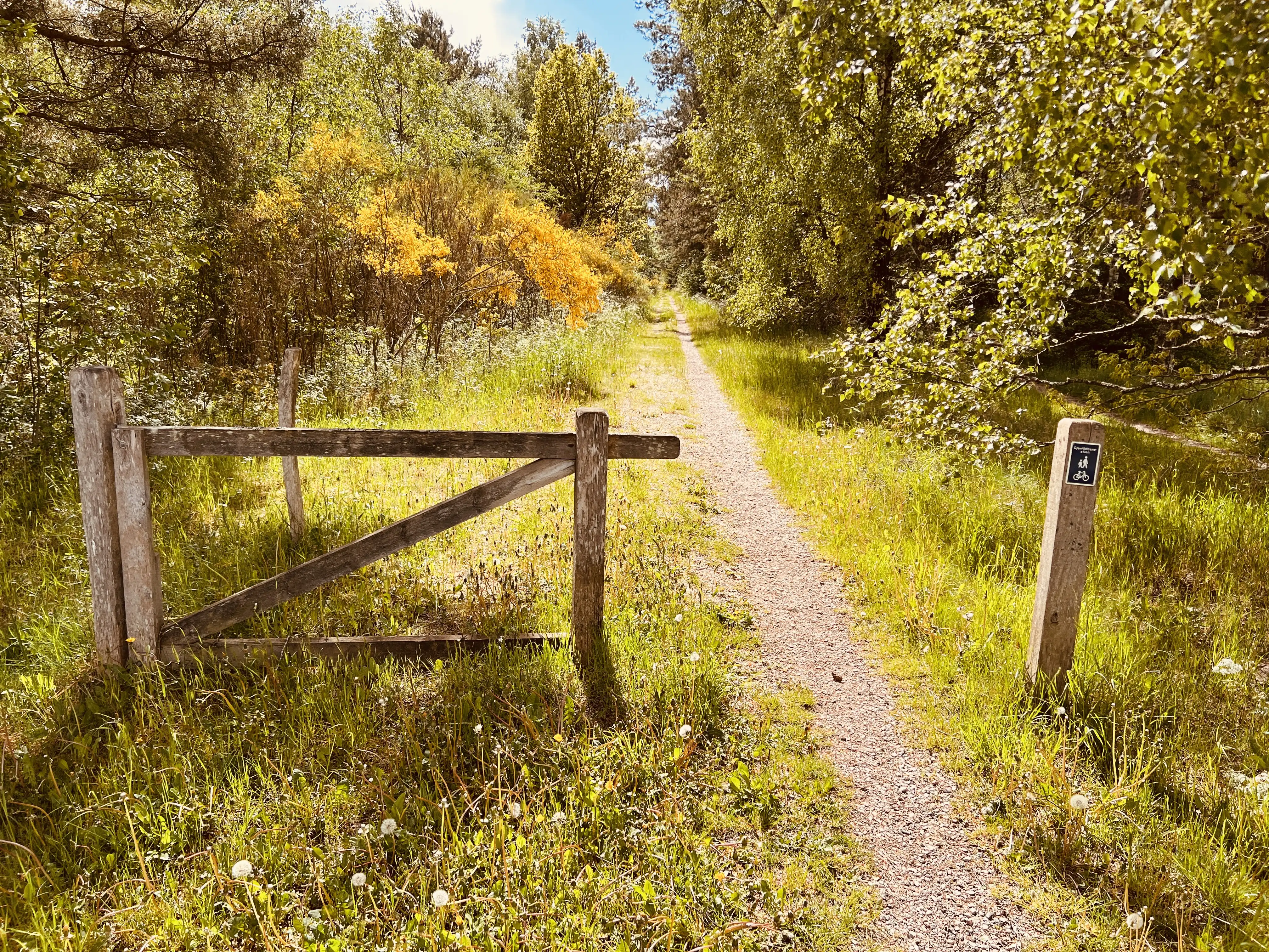 Billede af Mogenstrup Trinbræt - Trinbræt er nedrevet, men Mogenstrup Trinbræt har ligget her. Billede af Mogenstrup Trinbræt - Trinbræt er nedrevet, men Mogenstrup Trinbræt har ligget her.