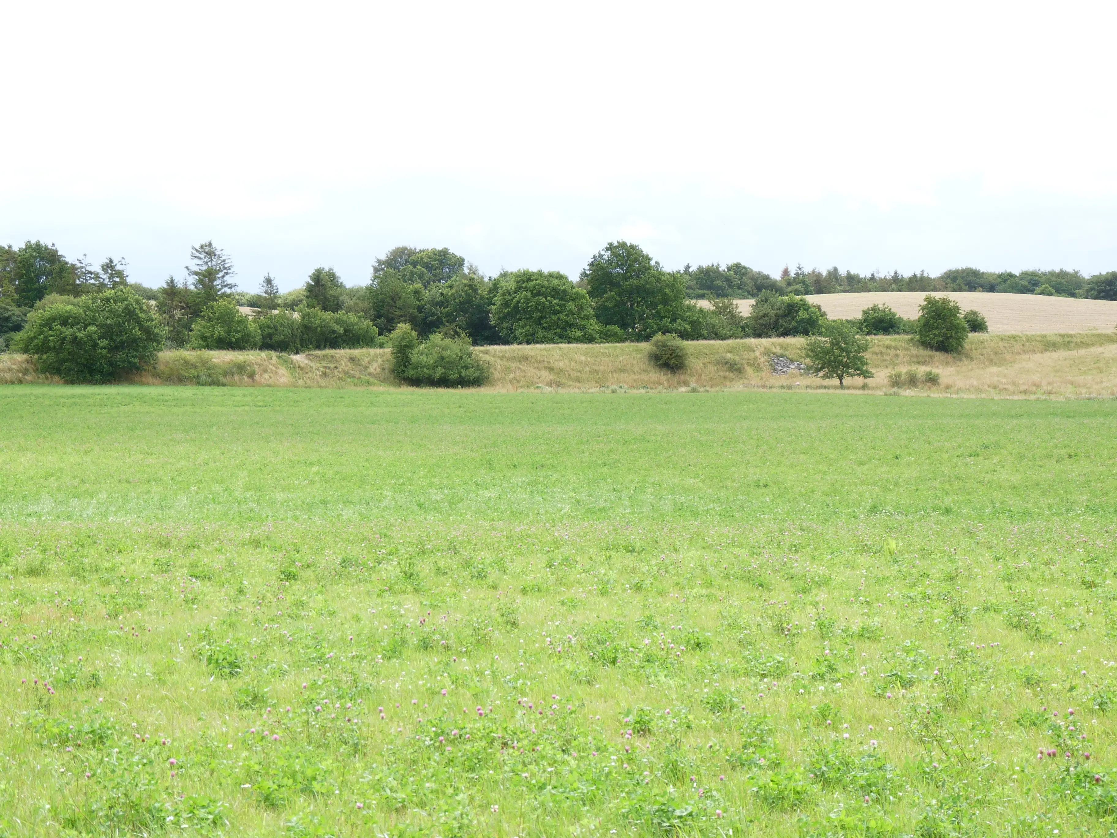 Billede af banevolden ved Ernebjerg Holdeplads. Billede af banevolden ved Ernebjerg Holdeplads.