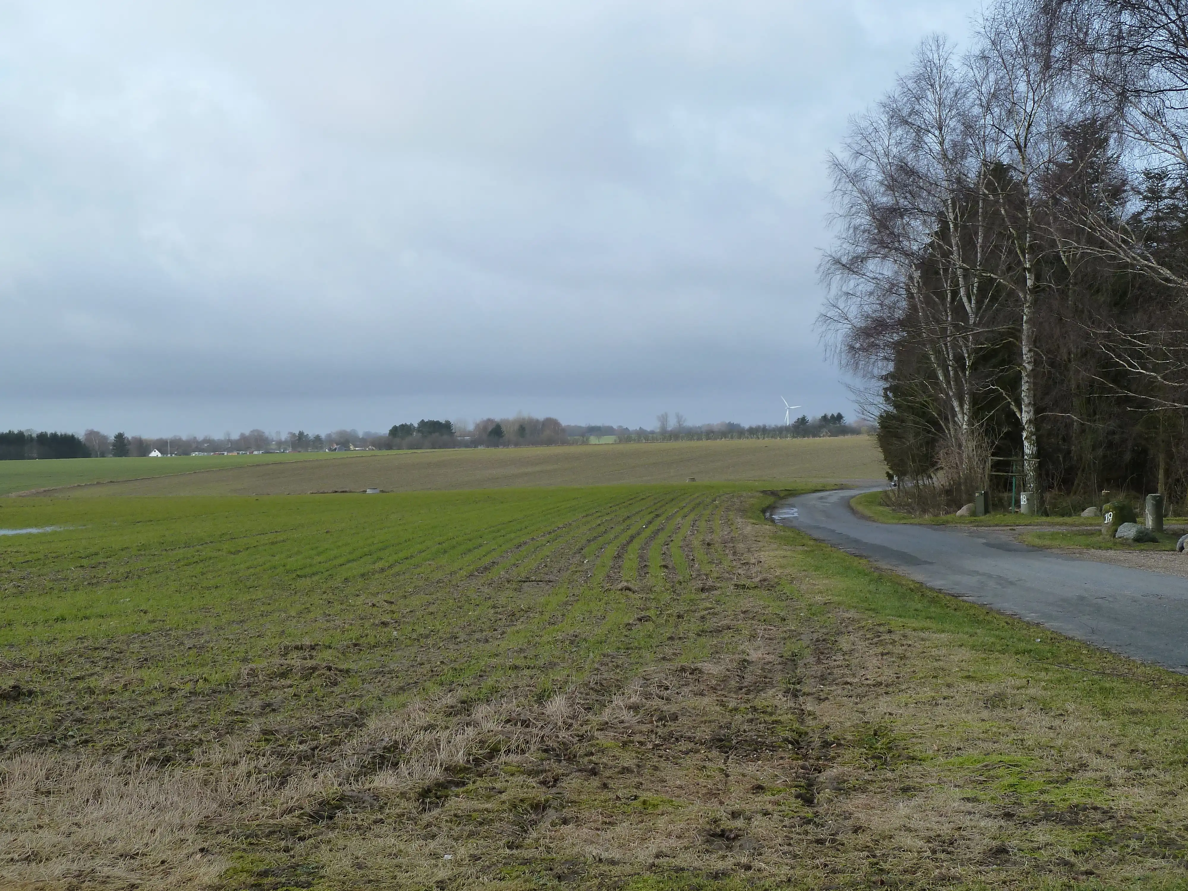 Billede af Mosevej Trinbræt - Trinbræt er nedrevet, men Mosevej Trinbræt har ligget her. Billede af Mosevej Trinbræt - Trinbræt er nedrevet, men Mosevej Trinbræt har ligget her.