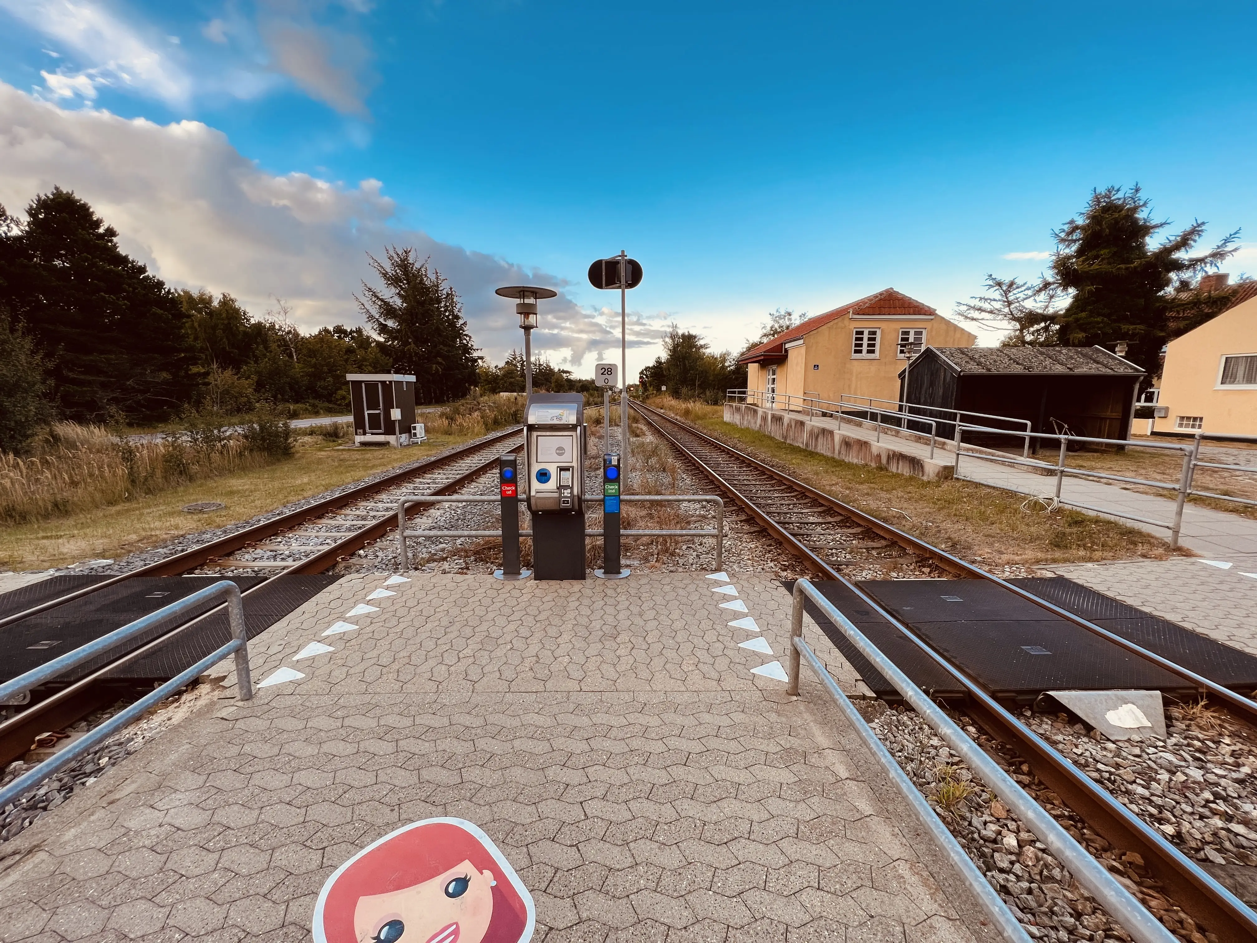 Billede af Hulsig Trinbræt. Billede af Hulsig Trinbræt.
