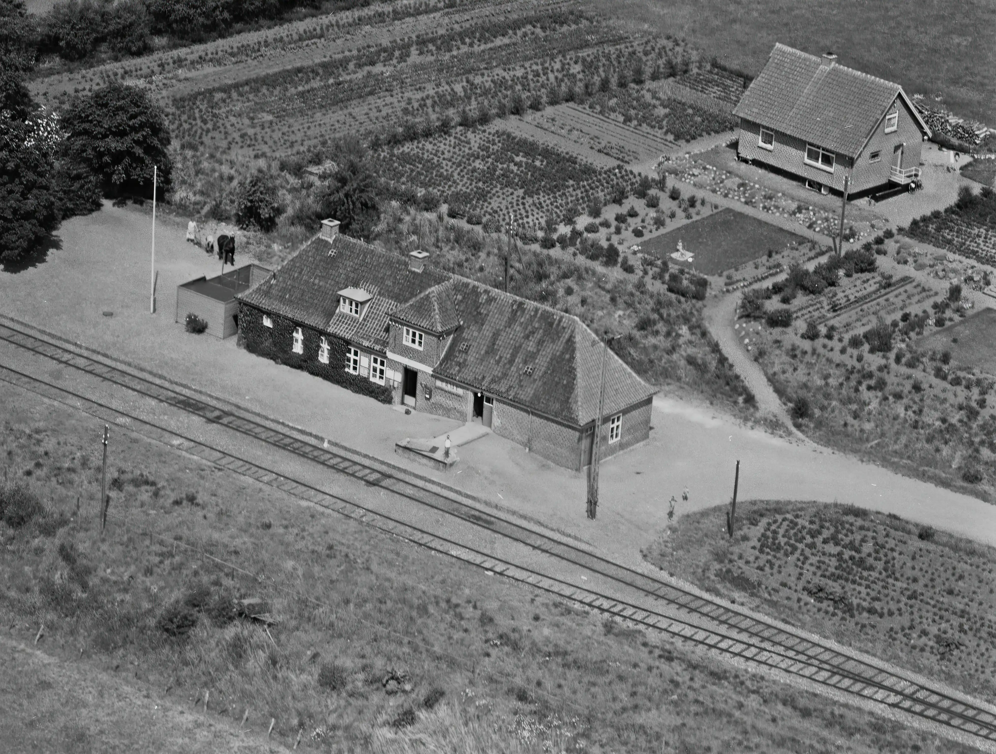Billede af True Station. Billede af True Station.