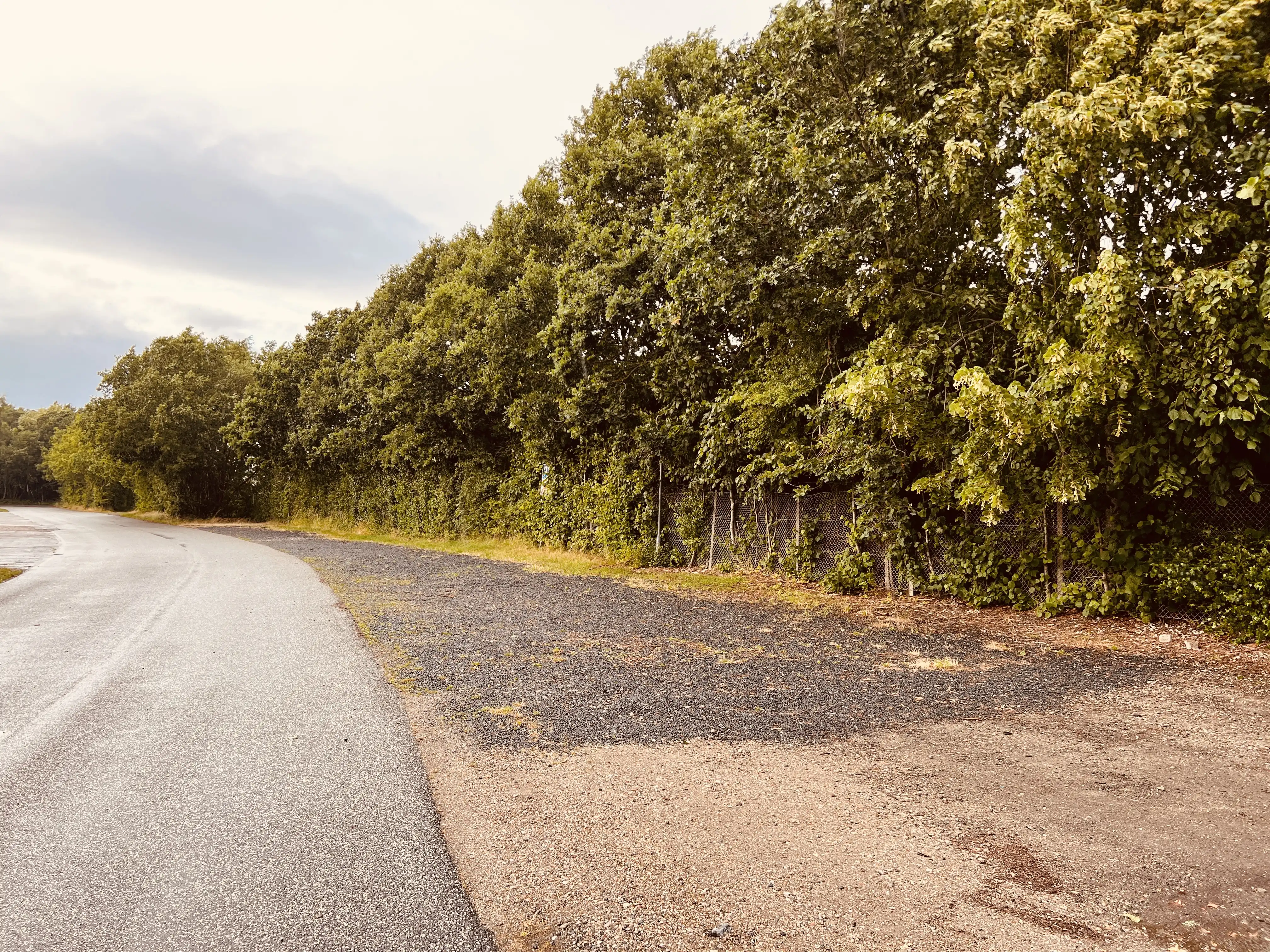 Billede af Pjedsted Holdeplads - Holdeplads er nedrevet, men Pjedsted Holdeplads har ligget her.