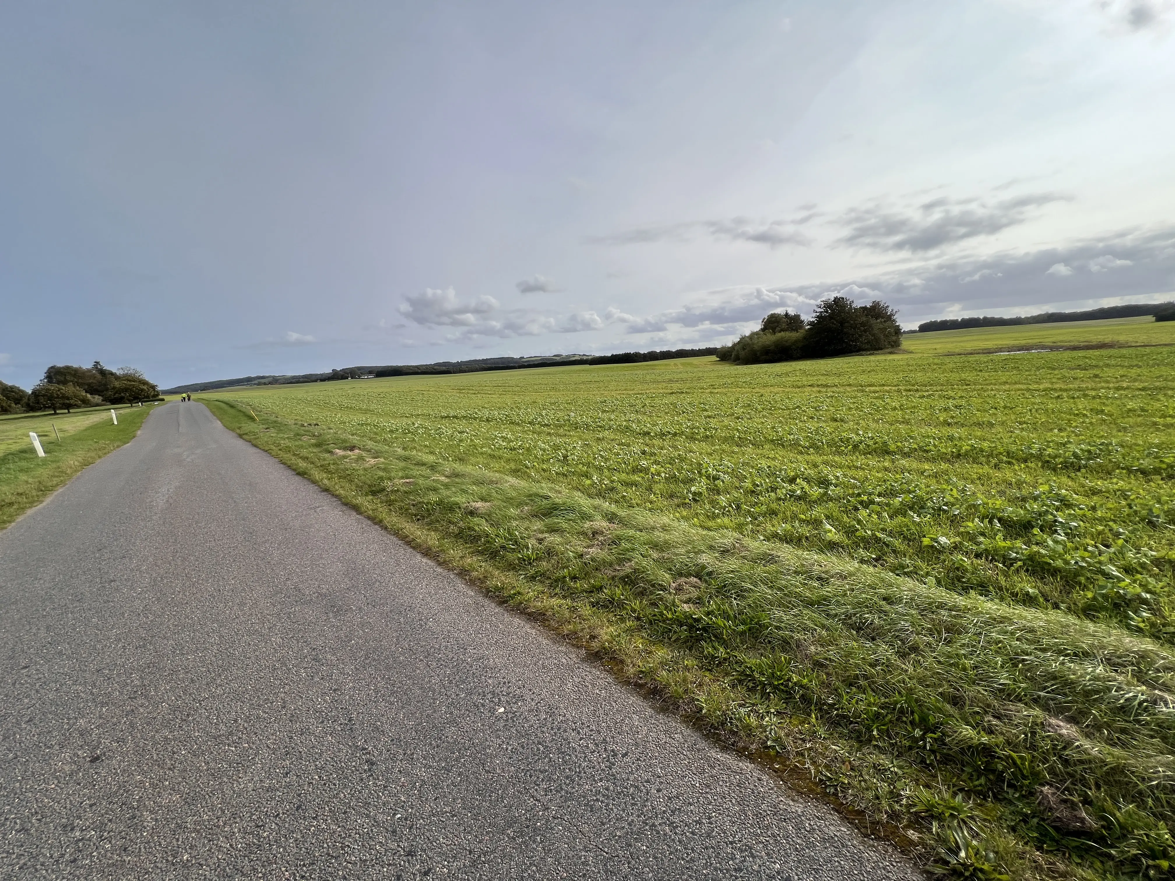 Billede af Ørnstrup Møllevej Trinbræt - Trinbræt er nedrevet, men Ørnstrup Møllevej Trinbræt har ligget her. Billede af Ørnstrup Møllevej Trinbræt - Trinbræt er nedrevet, men Ørnstrup Møllevej Trinbræt har ligget her.