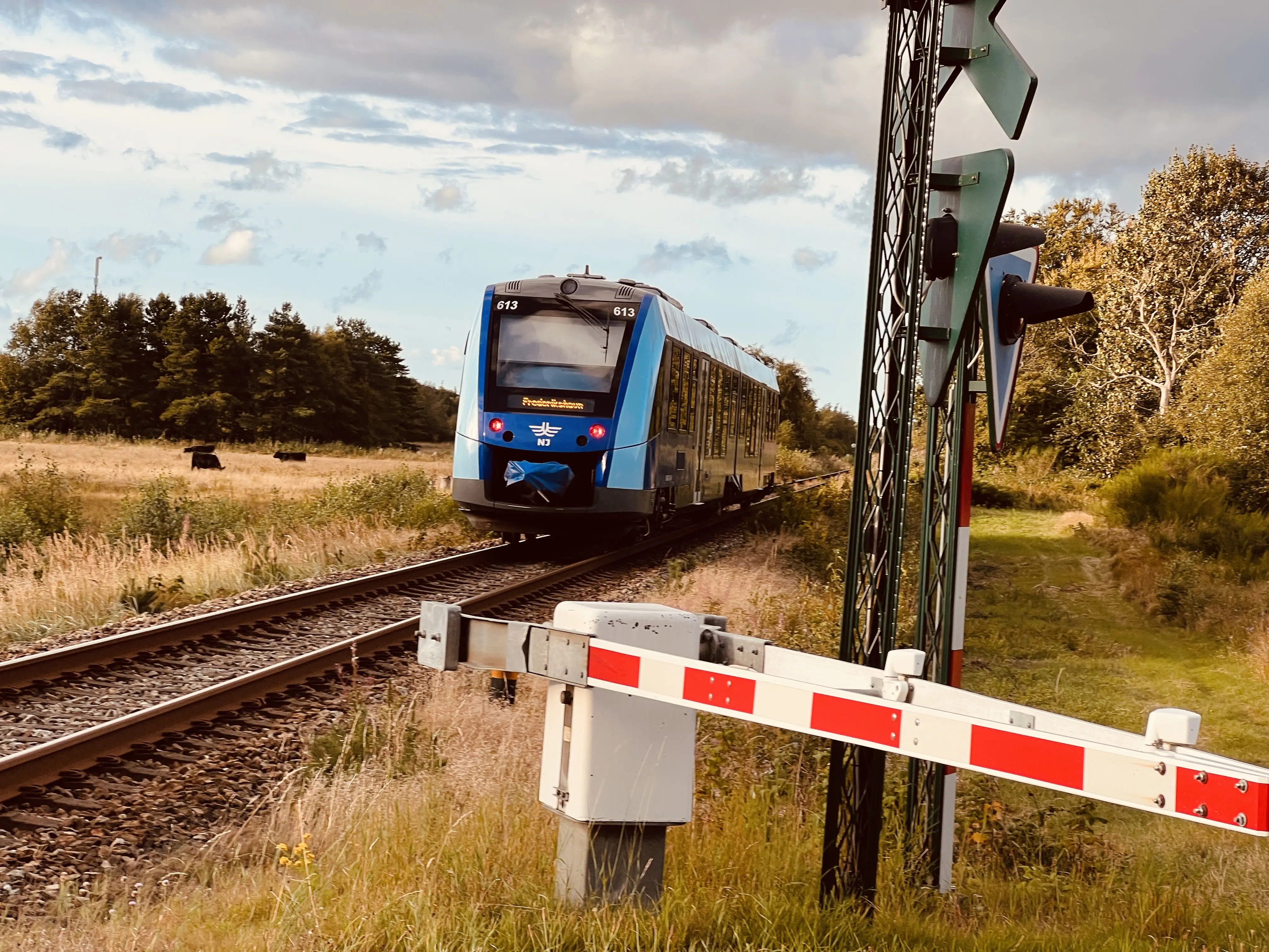 Billede af NJJ LM 613 fotograferet ud for Bunken Trinbræt. Billede af NJJ LM 613 fotograferet ud for Bunken Trinbræt.