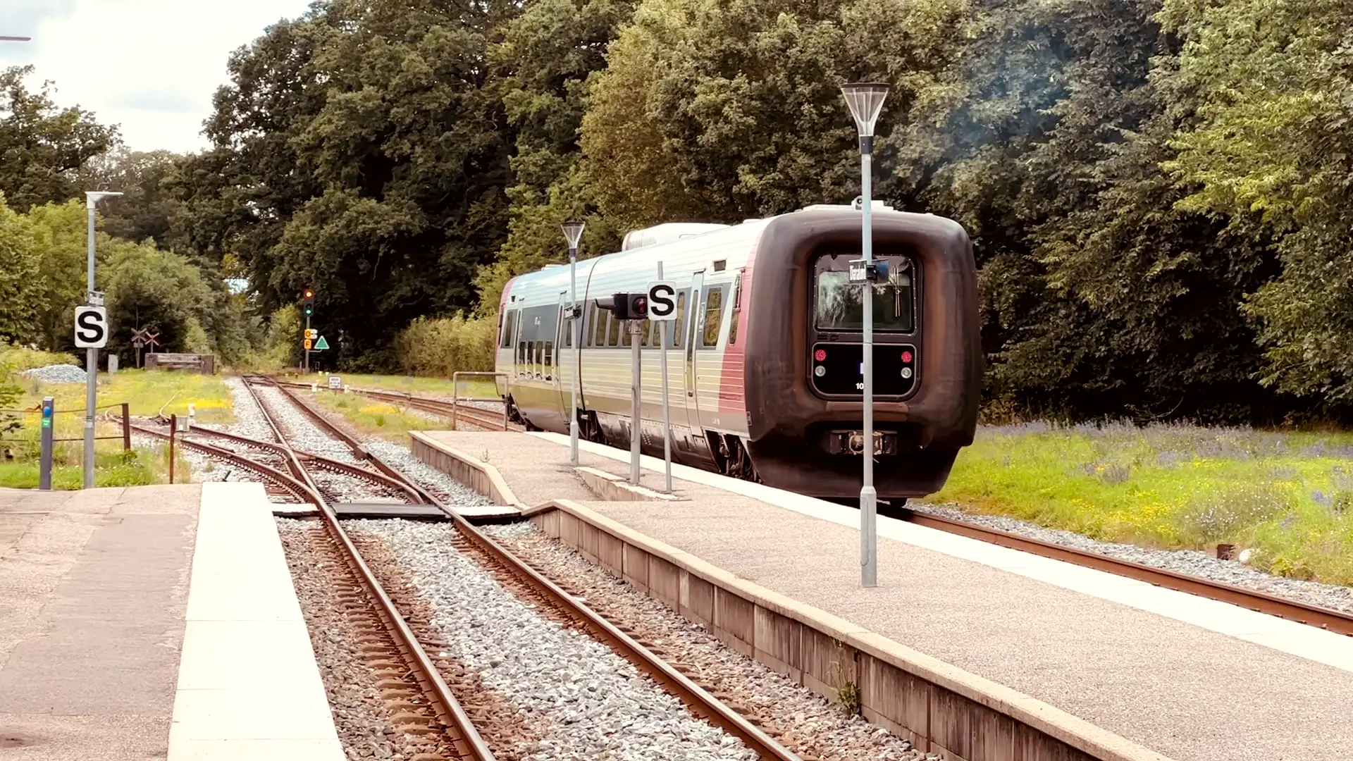 Billede af tog ud for Dianalund Station.
